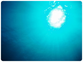 水中から見た太陽